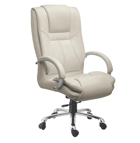 Director Chair